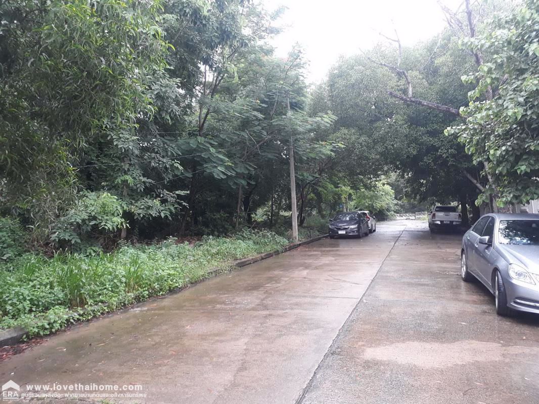 ขายที่ดินถมแล้วถนนเอกทักษิณ-หมู่บ้านเมืองเอกรังสิต-ย่านปทุมธานี